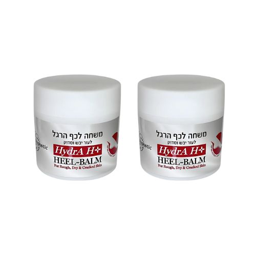הידרה